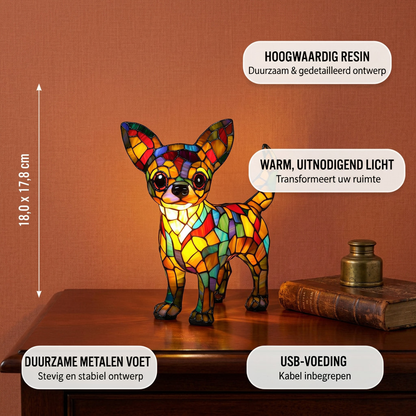 Leven met een Chihuahua