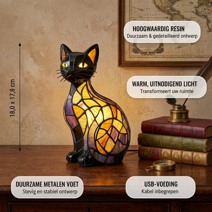 Stralende Kat om Middernacht