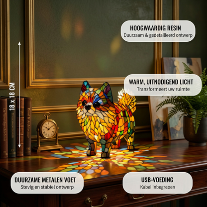 Levendige Pomeranian